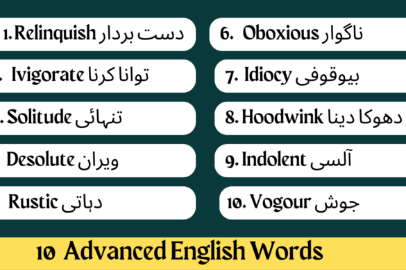 10-daily-use-vocabulary-words-with-meaning-and-sentence-pdf-vocabgram